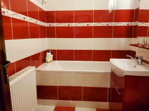 ein Badezimmer mit einer Badewanne und einem Waschbecken in der Unterkunft Apartman Lux in Covasna