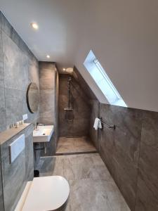 een badkamer met een toilet, een wastafel en een dakraam bij 3 Monkeys Hotel in Steinfurt