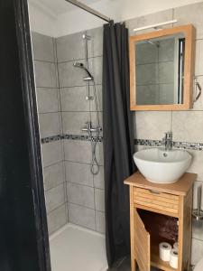 ein Bad mit einem Waschbecken und einer Dusche in der Unterkunft Le Cube in Marans