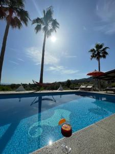 a large swimming pool with palm trees in the background at Finca Besito in Alhaurín el Grande