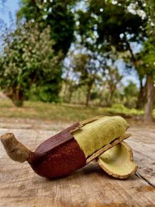 uma banana cortada ao meio numa mesa de madeira em Sitio Recanto Maçussa em Ouro Preto