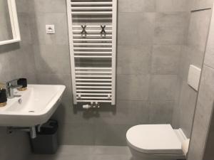 een badkamer met een toilet en een wastafel bij Moderni byt s balkonem Brno-Kralovo pole in Brno
