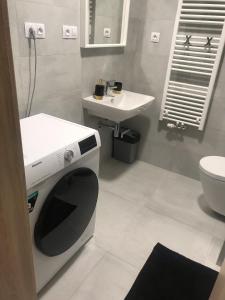 een badkamer met een wasmachine en een wastafel bij Moderni byt s balkonem Brno-Kralovo pole in Brno