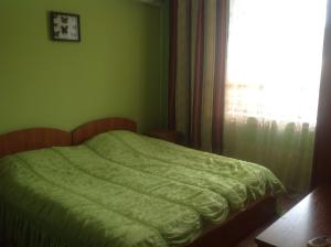 a bed in a green bedroom with a window at Apartments Vicente in Golden Sands