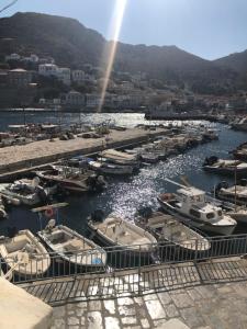 a bunch of boats are docked in a harbor at Hydra's View in Hydra