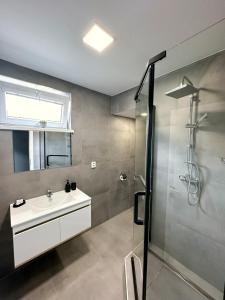 a bathroom with a sink and a shower at Penzion DMZ in Ostrava +129 photos