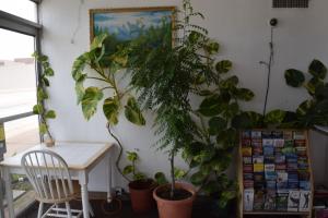 Fotografie z fotogalerie ubytování Imperial Motel v destinaci Odessa