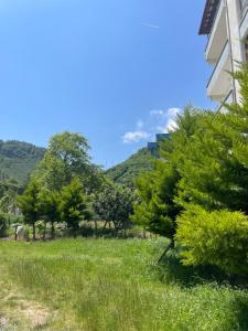 a field with trees and a building in the background at Yeşil ve huzur dolu bir daire in Bulancak