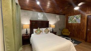 um quarto com uma cama, 2 candeeiros e uma cadeira em Camino Verde B&B Monteverde Costa Rica em Monteverde