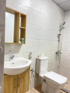 a bathroom with a toilet and a sink at Rum Under The Stars Camp in Wadi Rum