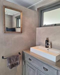 a bathroom with a sink and a mirror at Family Wellness lodge 4 personen Zuid-Holland! in Ooltgensplaat