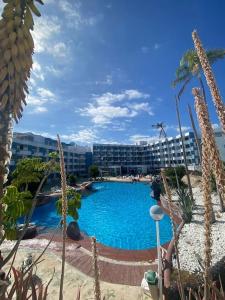 a large swimming pool in front of a hotel at Apartamento golf del sur in Santa Cruz de Tenerife