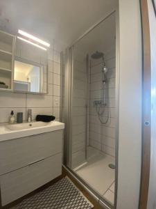 a bathroom with a shower and a sink at Chaleureux studio entre Neuchatel et Bienne in Le Landeron
