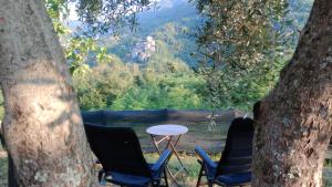 TresanaにあるCa Giacomoの二本の椅子と二本の木の間のテーブル