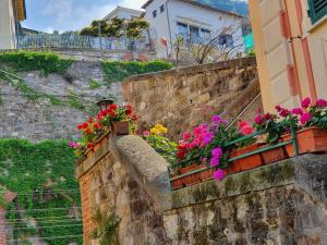 Un mazzo di fiori su un muro di pietra di Vasto apt panoramico 3 min mare a Camogli