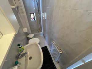e bagno con lavandino, servizi igienici e doccia. di Vasto apt panoramico 3 min mare a Camogli Altre 22 foto