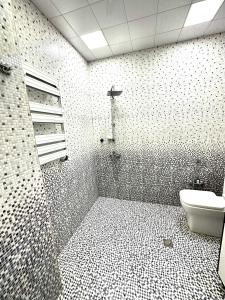een badkamer met een douche en een toilet. bij Xatai cozy apartment by Baku Housing in Baku
