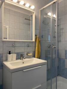 a bathroom with a sink and a shower at Szepihenő in Balatonszepezd +27 photos
