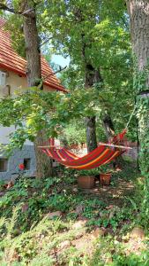 een hangmat hangend aan twee bomen in een tuin bij Szepihenő in Balatonszepezd