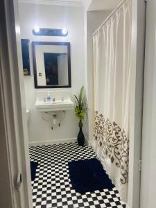 a bathroom with a sink and a mirror at Mini Studio: 10 min/Siesta Key/Private entrance/ in Sarasota
