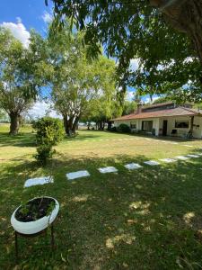 Un frisbee sentado en el césped de un patio. en Casa Quinta El Refugio, en Villa Gesell