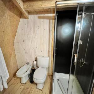 a small bathroom with a toilet and a shower at Terrazas de Meliquina in Villa Meliquina