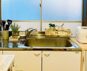 kuchnia ze zlewem i blatem w obiekcie 东京新宿区早稻田地铁步行5分钟Viewing House w Tokio
