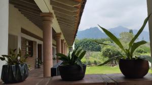three potted plants sitting on a ledge next to a building at Calli Sofi Posada in Tepoztlán