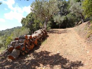 een stapel houtblokken aan de kant van een onverharde weg bij Small Exclusive Retreat in Lamezia Terme