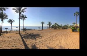 a sandy beach with palm trees and the ocean at Flat One room apartment in talabay aqaba in Al Burj