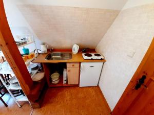 eine kleine Küche mit einer Spüle und einem kleinen Kühlschrank in der Unterkunft Apartmán Roubenka Všemily in Jetřichovice