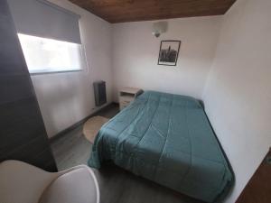 サン・カルロス・デ・バリローチェにあるRyG Apartmentsのベッドルーム(緑のベッド1台、窓付)