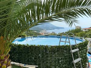 a view of a swimming pool with a palm tree at Apartman Marija sa ličnim đakuzijem in Bečići