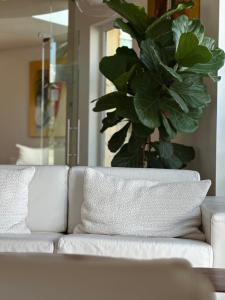 a white couch in a living room with a potted plant at Vila Luz in Luz
