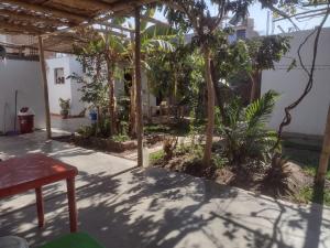 a courtyard of a house with trees and plants at 420 Route's Backpackers in Nazca