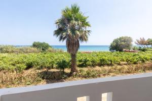 a palm tree on the side of a road at Seaheaven houses A2 in Koroni +8 photos