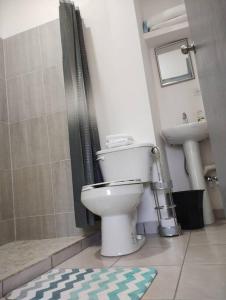 a bathroom with a toilet and a shower at Departamento Palmita in La Paz