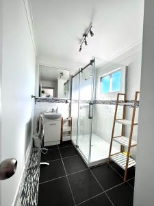a bathroom with a shower and a sink at Clarendon Cottage , near lowood in Clarendon