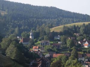 una pequeña ciudad en las montañas con una iglesia en Property in Wildemann, en Wildemann