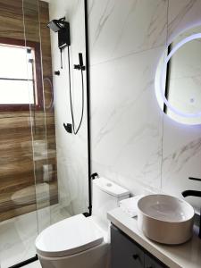 a bathroom with a toilet and a sink and a shower at chalé cantin casa temporada 900 m praça tiradentes in Tiradentes