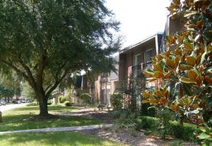 ein Gebäude mit einem Baum neben einer Straße in der Unterkunft ConCrete Suite 5 Min Walk to Shands UF in Gainesville