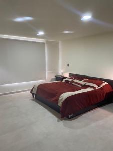 1 dormitorio con 1 cama grande en una habitación en Bonito y Cómodo Departamento, en Zacatecas