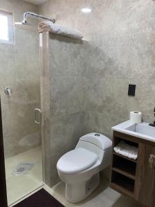 uma casa de banho com um WC, um chuveiro e um lavatório. em Bonito y Cómodo Departamento em Zacatecas