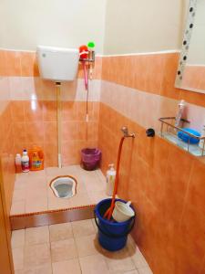 a small bathroom with a toilet in the corner at D'LAILA HOMESTAY in Kampong Gelegoh Lama