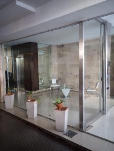 a glass room with potted plants on a table at Calma Home in Buenos Aires