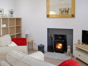 a living room with a fireplace and a dog sitting in front of it at Wylies Brae in New Galloway