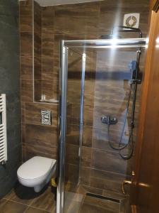 een badkamer met een toilet en een glazen douche bij Pensiunea transilvania in Covasna