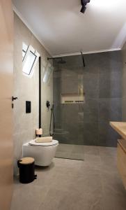 a bathroom with a toilet and a glass shower at Kiriakos Apartment in Kalamata