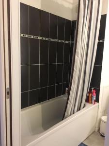 a bathroom with a bath tub with a shower curtain at Appartement Lille Europe in Lille