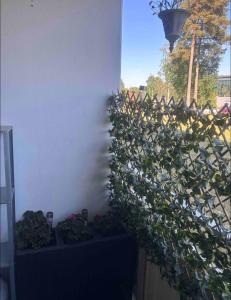 un mur recouvert de lierre avec des plantes et un éclairage de rue dans l'établissement Glöm dina bekymmer i denna rymliga lägenhet, à Trollhättan